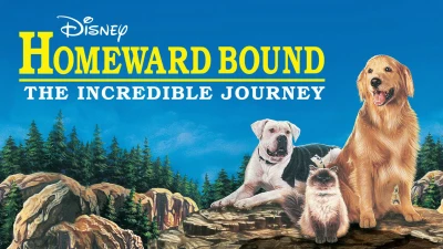 Homeward Bound: The Incredible Journey