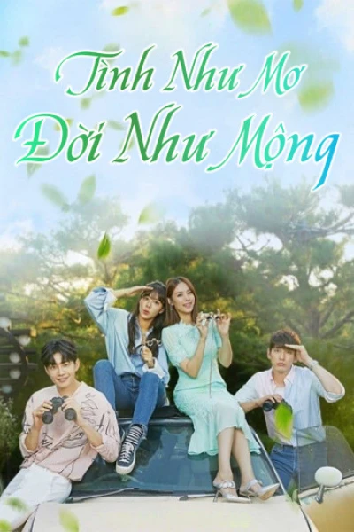 Tình Như Mơ Đời Như Mộng (Beautifull Love, Wonderful Life) [2019]